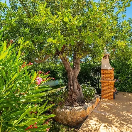 Guerreiro * 阿尔布费拉