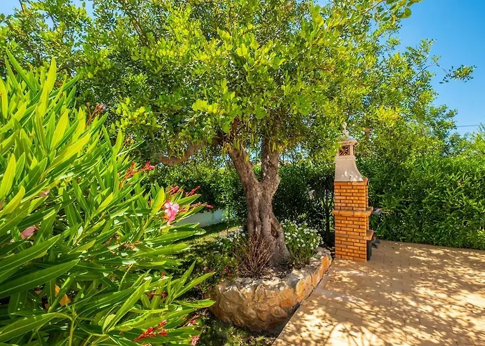 Guerreiro * Albufeira